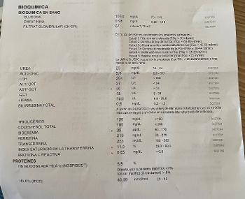 Blood results 