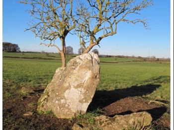 Hoar Stone, a neolithic burial marker