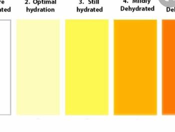 Hydration charts 