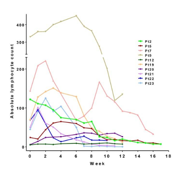 Lymphocyte/WBC counts often peak for up to a few months before declining on BTKis