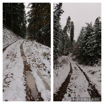 Looking back and ahead on a snowy, icy, muddy French forest trail running route