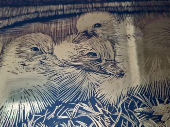 Duck etching 