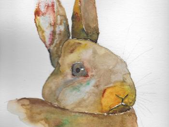 Portrait of a rabbit in watercolour