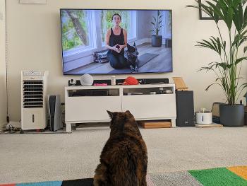 Adriene on the big screen, and Noodles the cat observing