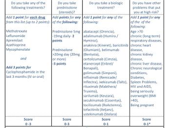 Table documenting points system for establishing covid risk in rheumatology patients.