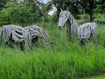 Horse sculptures in the beautiful grounds of a local manor house. 