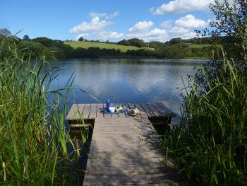 My favourite lunch spot by the reservoir watching great-crested grebes 