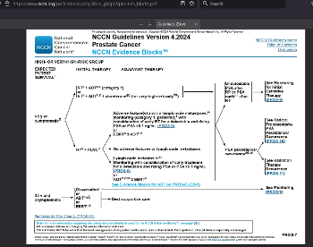 NCCN guidelines version 4.2024 - example