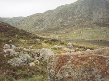 Scottish hghlands rocks and heather