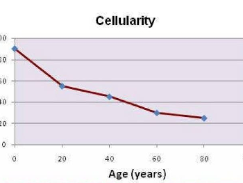 Cellularity vs Age