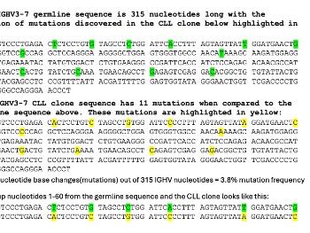 Nucleotide sequence of IVHG3-7 before and after hypermutation