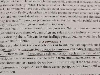 extract from book Tao of fully feeling