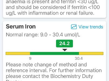 Iron blood test results 