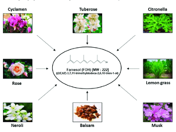Plant Sources of Farnesol