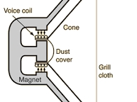 Speaker construction - The magnet is fixed and the voice coil moves when energized.