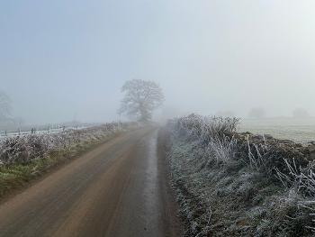 Frosty morning run