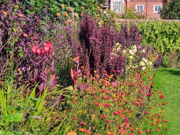 A garden full of colourful flowers with historic house in the background