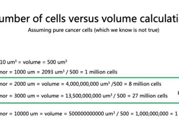 Volume of cells vs size 