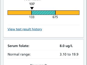 B12 results 