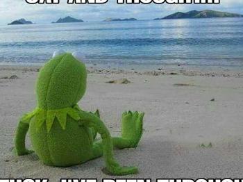 Poor Kermit