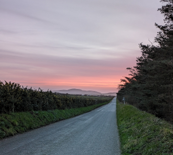 Straight downhill lane at dusk, hedge left, forest right. Hazy orange horizon with hills.