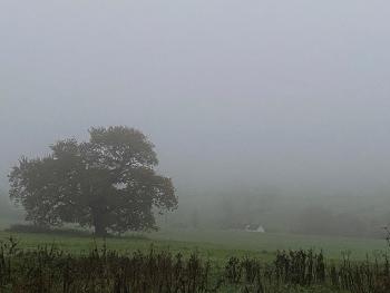 Fog over a field with a house in the distance 