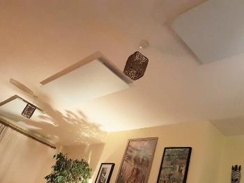 Thats some of our plain white heaters we've had installed on the ceiling 