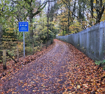 A leaf-strewn path with a metal fence on the right.