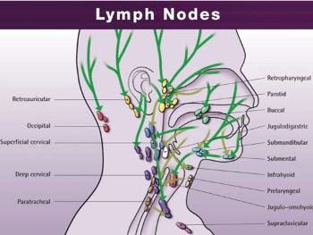 Lymph nodes of neck and head