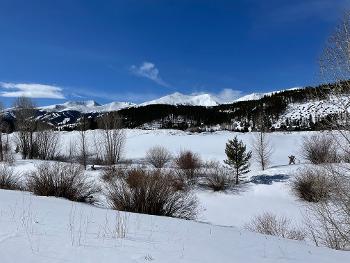 Winter scene in Colorado with blue sky and snow
