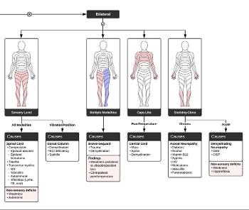 Differential diagnosis of bilateral numbness