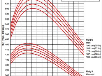 Graph of peak flows