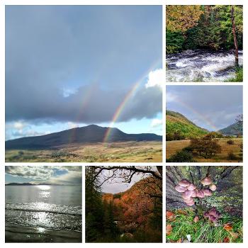 photos showing a double rainbow, forest, seascape, fungi which spring up after the rain