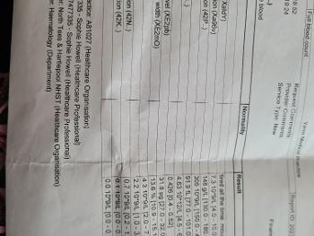 The other page of blood results 