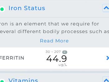 Ferritin result 