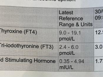 Photo 2 - blood test results 