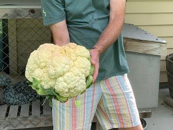 Cauliflower!