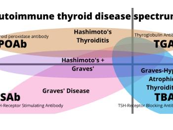 Graphic of overlapping antibodies in thyroid disease.