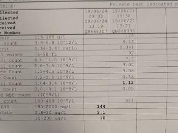 Image of blood test results 2
