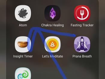 App icon for Atom