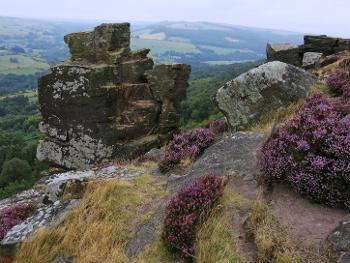 On our walk earlier this week - English Peak District