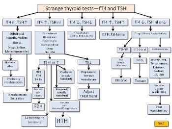 Flowchart to interpret strange thyroid test results