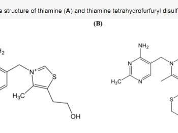 Thiamine vs TTFD