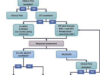 RT flowchart to treatment