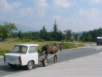 Horse and car Bulgaria