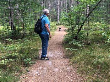 Hartwick Pines forest hike, Grayling, Michigan. August 2021
