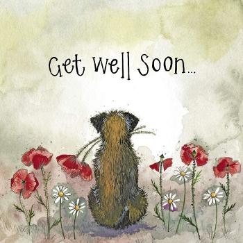 Hope you feel better very soon. 