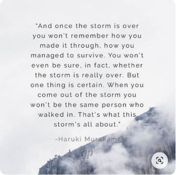 Haruki Murakami quote on storms