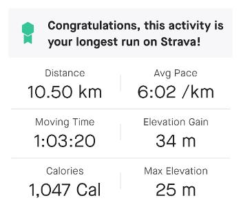 10k completed.