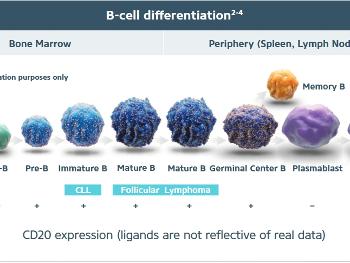 GAZVYA B-cell CD20 targets